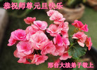 ֹ,ӱ󷨵ӹףʦ(23)