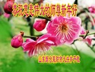 法轮功,山东大法弟子恭祝师尊新年好(30条)
