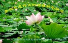ֹ,ӱ󷨵ӹףʦ(23)