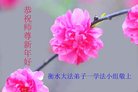 ֹ,ӱ󷨵ӹףʦ(21)