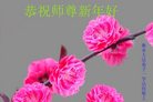 ֹ,ӱ󷨵ӹףʦ(21)