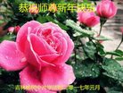 ֹ,󷨵ӹףʦ(22)