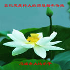ֹ,󷨵ӹףʦ(25)
