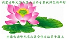 法轮功,内蒙古大法弟子恭祝师尊新年好(26条)