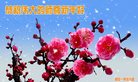 ֹ,󷨵ӹףʦ(22)