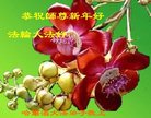 ֹ,󷨵ӹףʦ(24)