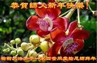 ֹ,󷨵ӹףʦ(22)