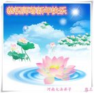 法轮功,河南大法弟子恭祝师尊新年好(26条)