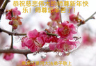 ֹ,󷨵ӹףʦ(24)