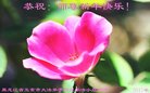 ֹ,󷨵ӹףʦ(22)