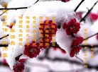 ֹ,д󷨵ӹףʦ(22)