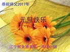 ֹ,󷨵ӹףʦ(21)