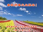 法轮功,湖南大法弟子恭祝师尊新年好(28条)