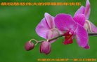 ֹ,ʯׯ󷨵ӹףʦ(29)