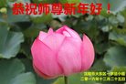 ֹ,󷨵ӹףʦ(28)
