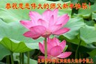 ֹ,󷨵ӹףʦ(21)