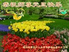 ֹ,ϴ󷨵ӹףʦ(20)