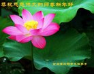 ֹ,󷨵ӹףʦ(22)