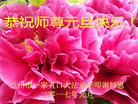 ֹ,󷨵ӹףʦ(22)