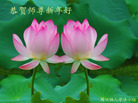 法轮功,河南大法弟子恭祝师尊新年好(24条)