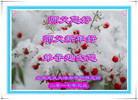 ֹ,󷨵ӹףʦ(24)