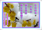 ֹ,󷨵ӹףʦ(24)