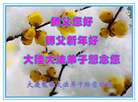 ֹ,󷨵ӹףʦ(24)