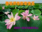 ֹ,󷨵ӹףʦ(22)