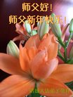 ֹ,Ϋ󷨵ӹףʦ(26)