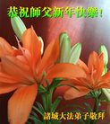 ֹ,Ϋ󷨵ӹףʦ(26)