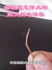 ֹ,󷨵ӹףʦ(25)