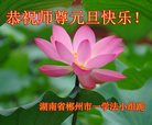 法轮功,湖南大法弟子恭祝师尊新年好(20条)