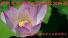 法轮功,内蒙古大法弟子恭祝师尊新年好(21条)