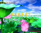 法轮功,山西大法弟子恭祝师尊新年好(22条)