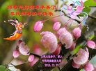ֹ,󷨵ӹףʦ(18)