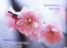 ֹ,ϴ󷨵ӹףʦ(27)