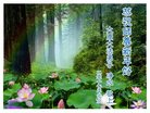 ֹ,󷨵ӹףʦ(24)
