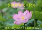 ֹ,ϴ󷨵ӹףʦ(23)