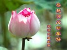 ֹ,󷨵ӹףʦ(21)