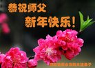 Published on 12/31/2016 ���ֹ�,��½�󷨵��ӹ�ףʦ�������(25��)