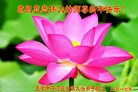 ֹ,󷨵ӹףʦ(21)