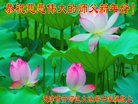 ֹ,󷨵ӹףʦ(21)