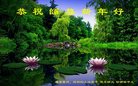 法轮功,广州大法弟子恭祝师尊新年好(26条)