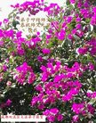 ֹ,ɶ󷨵ӹףʦ(24)