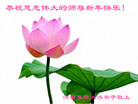 法轮功,河南大法弟子恭祝师尊新年好(24条)