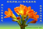 ֹ,󷨵ӹףʦ(25)