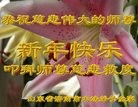 ֹ,ϴ󷨵ӹףʦ(23)