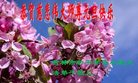 ֹ,д󷨵ӹףʦ(21)