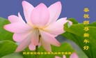 法轮功,陕西大法弟子恭祝师尊新年好(20条)