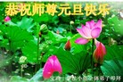 ֹ,󷨵ӹףʦ(21)